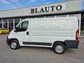 Fiat Ducato 30 2.3 MJT 130CV PC-TN Furgone bijela - thumbnail 1