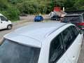 SEAT Leon Leon 1.6 TDI 115 CV DSG ST Business Weiß - thumbnail 7
