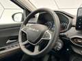 Dacia Sandero Stepway Expression TCe 100 ECO-G sofort Zilver - thumbnail 20