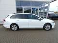 Volkswagen Golf Variant 8 Variant 2.0 TDI Life *AHK*PDC*LED* Blanco - thumbnail 2