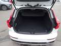 Volvo V60 Kombi T6 Plus Dark Plug-In Hybrid AWD Weiß - thumbnail 7