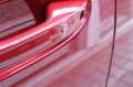 Ford Tourneo Connect Titanium L1 2.0 EcoBl 4,99% FIN* Rot - thumbnail 5