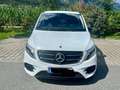 Mercedes-Benz V 250 V 250 d 4MATIC lang Avantgarde Edition AMG Weiß - thumbnail 7