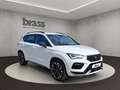 CUPRA Ateca 2.0 TSI VZ 4Drive 360 Kamera Navigation Weiß - thumbnail 7