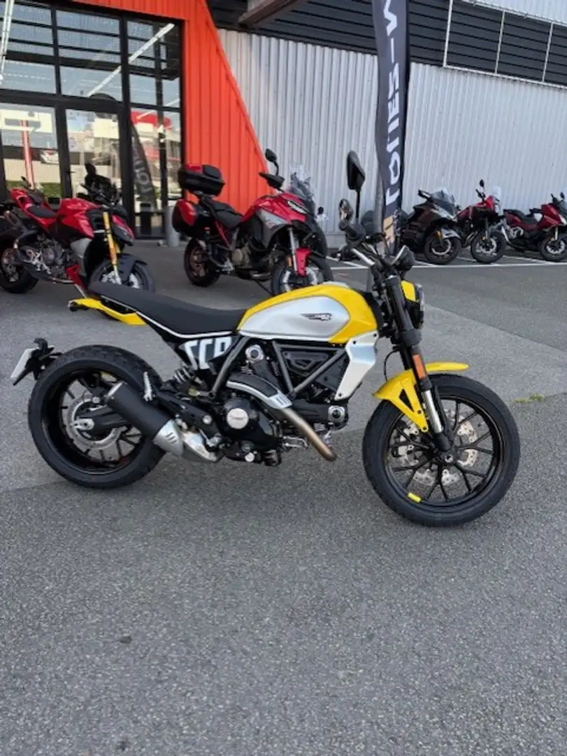 Ducati Scrambler Jaune - 2