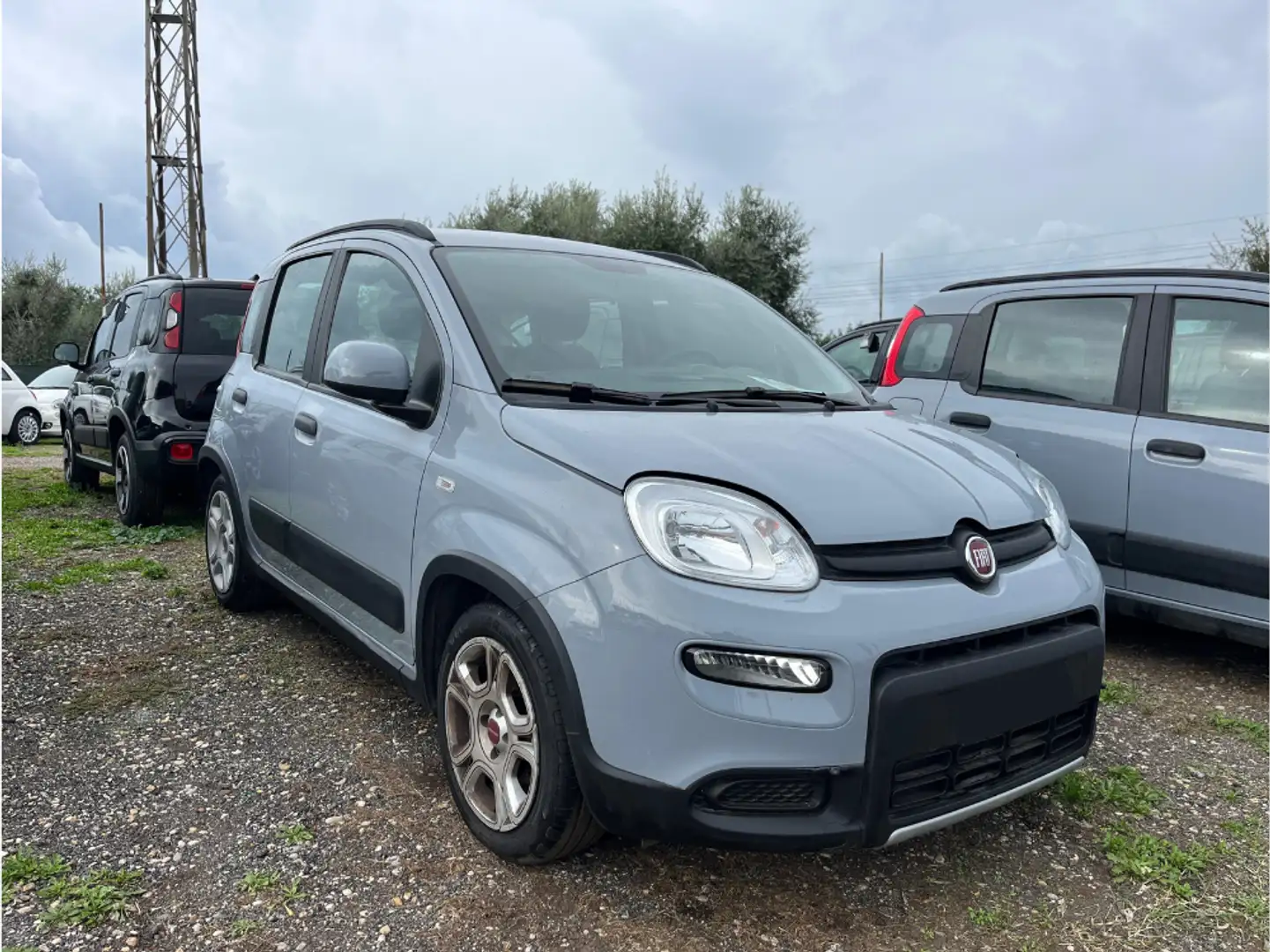 Fiat Panda Panda 1.0 FireFly S&S Hybrid City Life Gris - 2