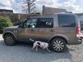 Land Rover Discovery Discovery TD V6 HSE Beige - thumbnail 2