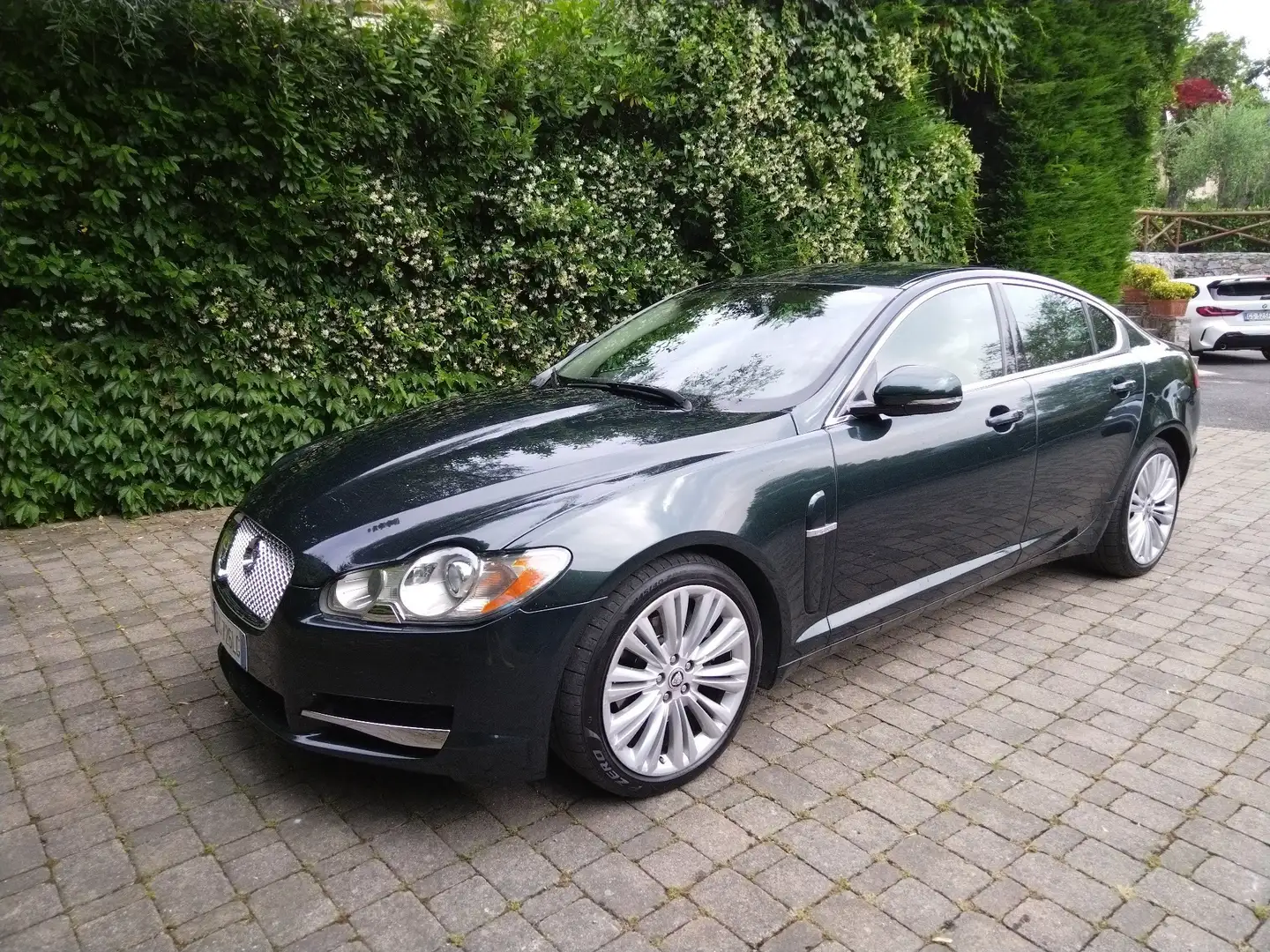 Jaguar XF 3.0d V6 Premium Luxury auto Verde - 2