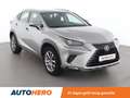 Lexus NX 300h NX 300h E-Four Pack Beige - thumbnail 8