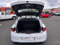 Renault Megane IV SOCIETE BLUE DCI 115 CH Blanc - thumbnail 13