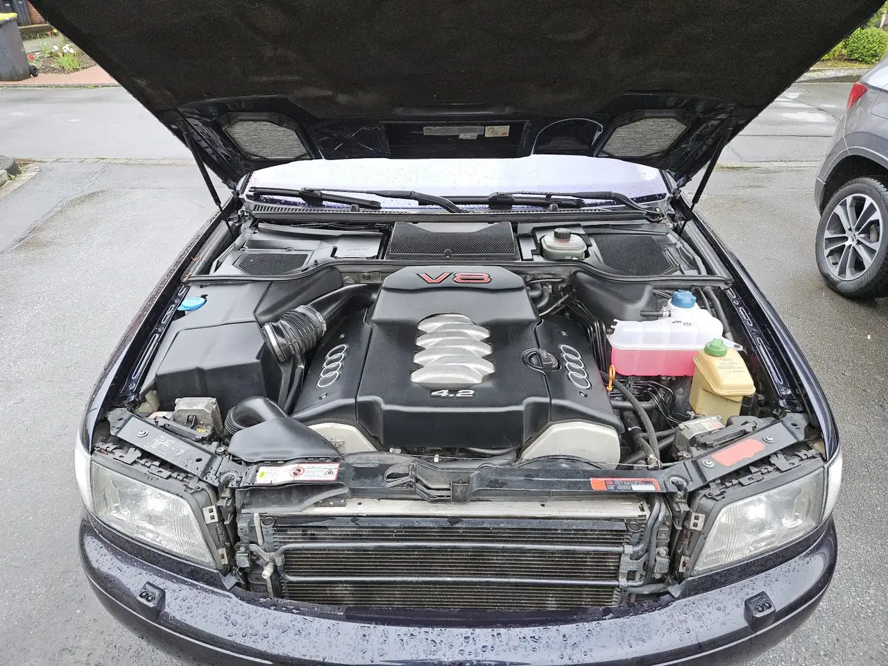 Audi S8 4.2 quattro, foto 4