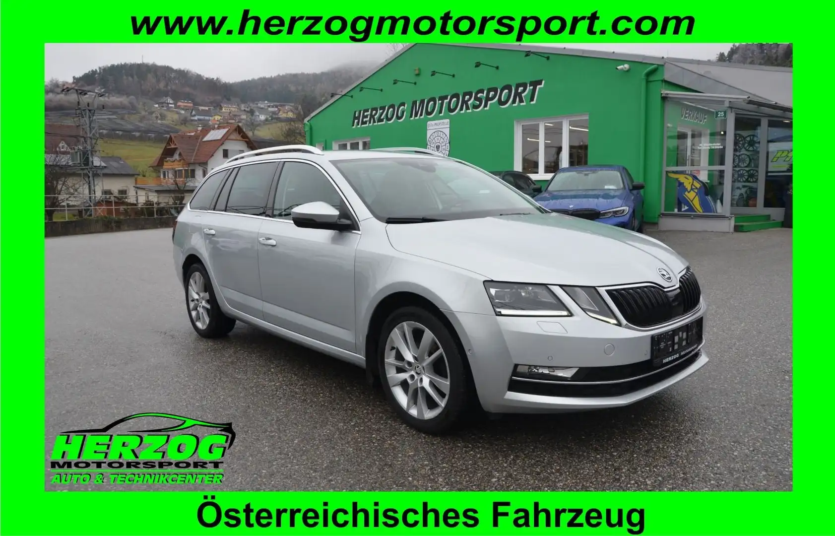 Skoda Octavia Octavia Combi 2,0 Style TDI 4x4 DSG LED AHV KAMERA Silber - 1
