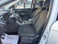 Ford Kuga Kuga 1.5 TDCI 120 CV S&S 2WD Business Bianco - thumbnail 14