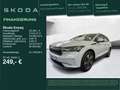 Skoda Enyaq 60 Loft AHK LED NAV KAM PDC SHZ APP Blanco - thumbnail 1