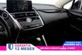 Lexus NX 350h 2.5 Hybrid Business NAVIGATION 2WD 197cv Auto 5P # Weiß - thumbnail 15