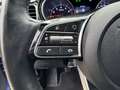 Kia Ceed SW / cee'd SW Sportswagon 1.0 T-GDi Dyn.PlusL. Blau - thumbnail 17