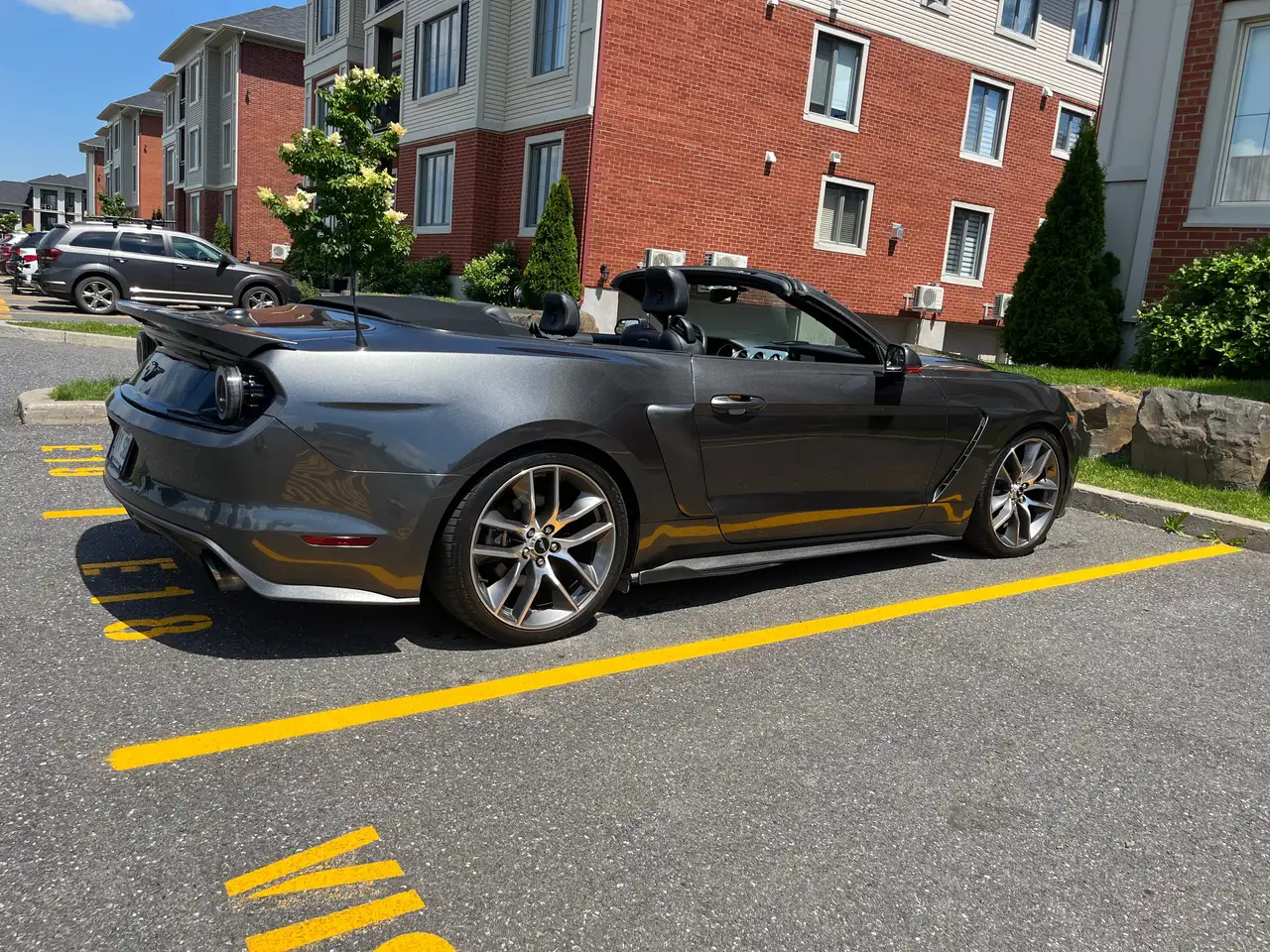 Ford Mustang photo Ford Mustang