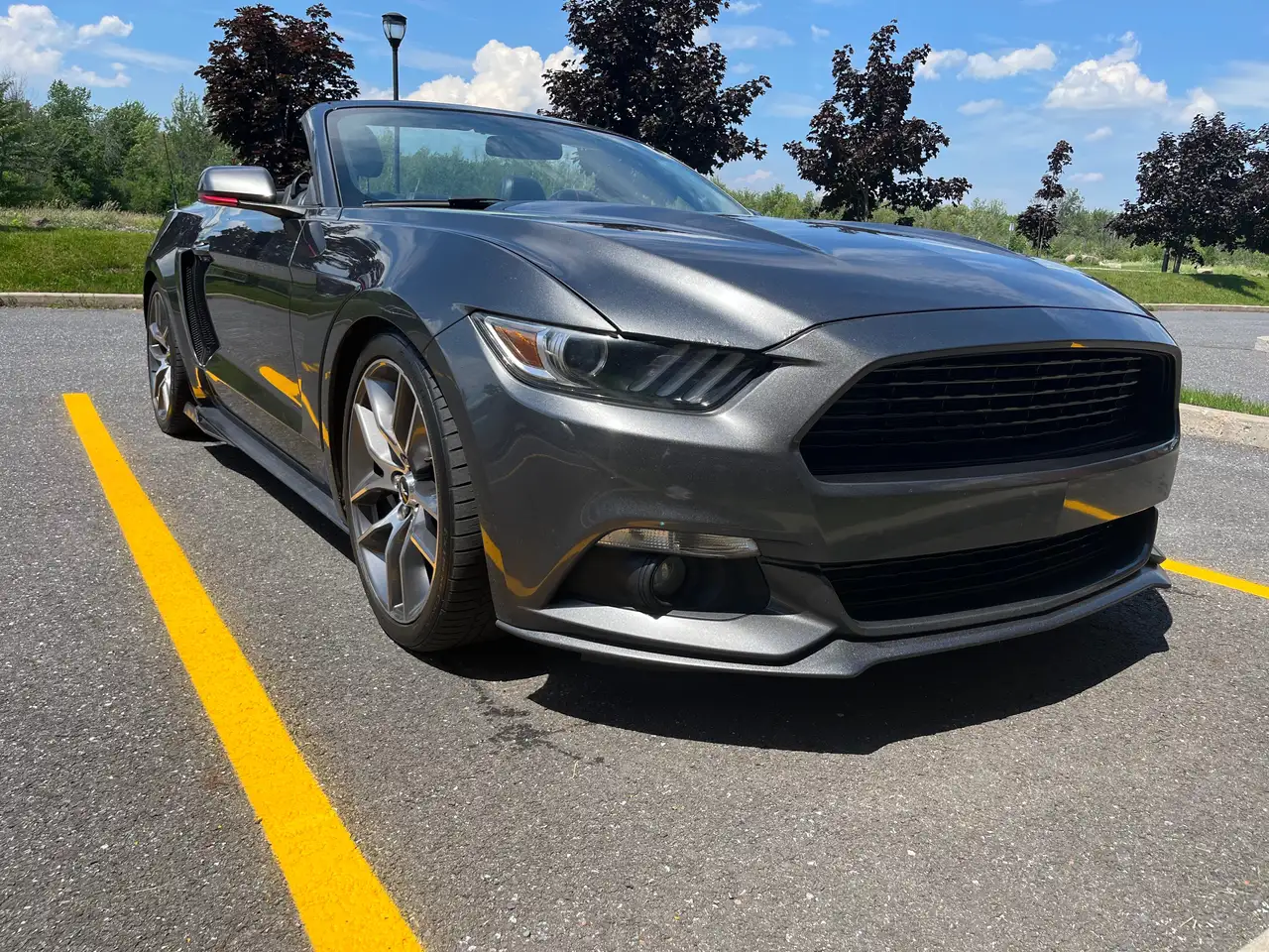 Ford Mustang photo Ford Mustang