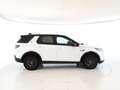Land Rover Discovery Sport Discovery Sport 2.0 eD4 163 CV 2WD - IVA ESPOSTA Blanc - thumbnail 6