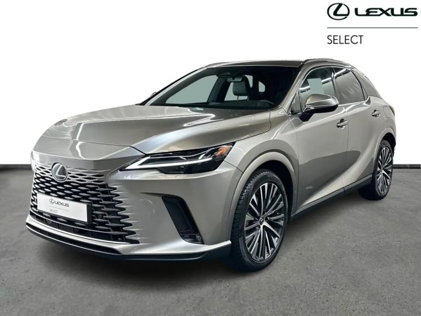 Lexus RX 350h Executive Line AWD Gris - 1