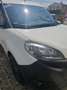 Fiat Doblo Cargo MAXI XL Wit - thumbnail 2