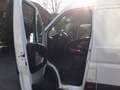 Fiat Ducato Ducato L4H2 Weiß - thumbnail 5