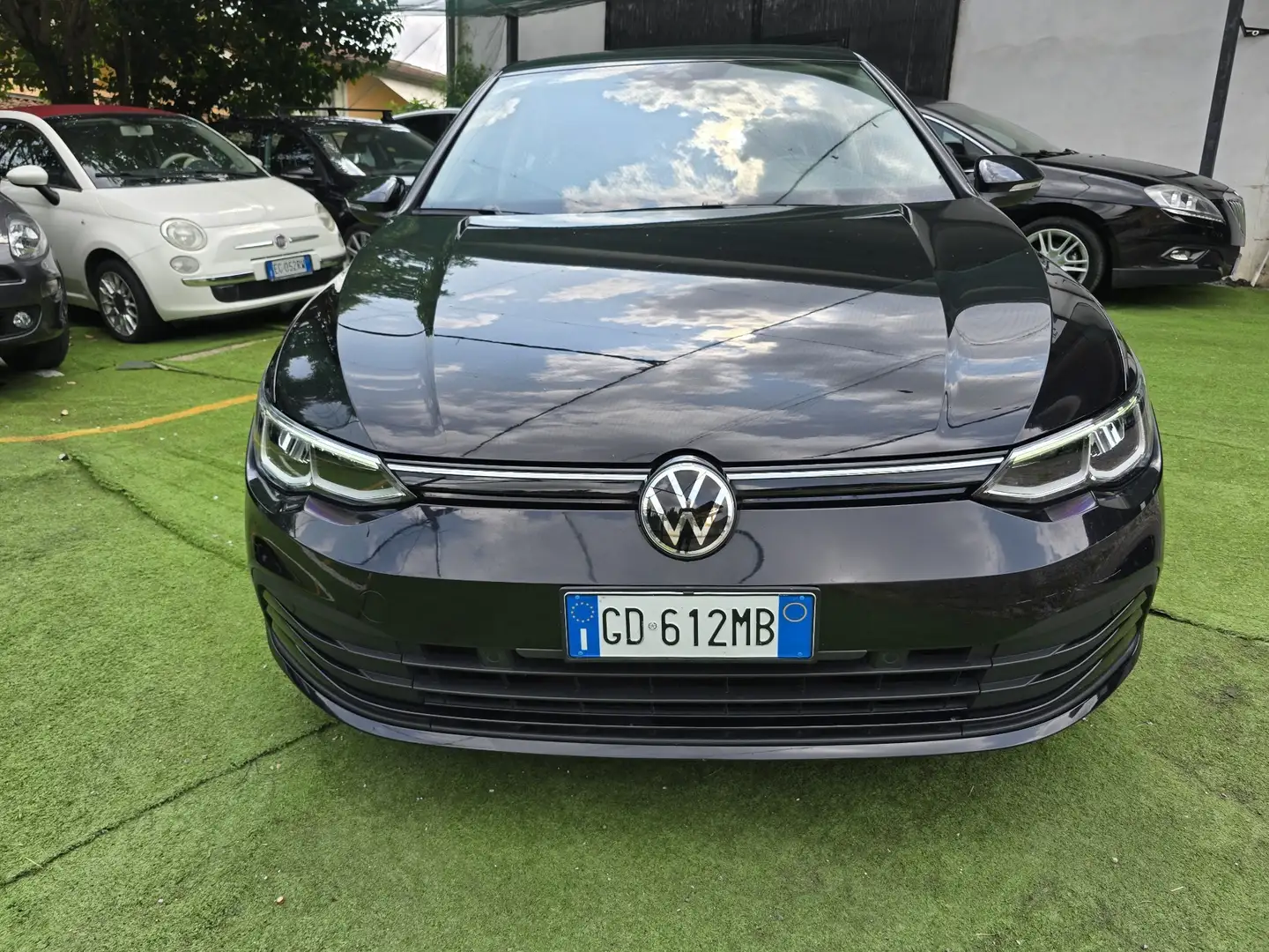 Volkswagen Golf 1.5 tgi Style 130cv dsg - 2