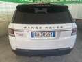 Land Rover Range Rover Sport Range Rover Sport II 2014 Blanc - thumbnail 5