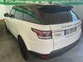 Land Rover Range Rover Sport Range Rover Sport II 2014 Blanc - thumbnail 6