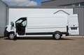 Renault Master 2.0DCI- L3H2- Carplay- 150Pk- Nieuw- 28990+BTW Blanco - thumbnail 20