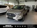 Ford EcoSport EcoBoost Beige - thumbnail 1