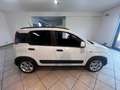 Fiat Panda firefly hybrid s&s 5 posti/ 2.000 euro di optional Blanc - thumbnail 6