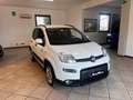 Fiat Panda firefly hybrid s&s 5 posti/ 2.000 euro di optional Blanc - thumbnail 7