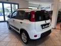 Fiat Panda firefly hybrid s&s 5 posti/ 2.000 euro di optional Blanc - thumbnail 3