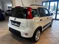 Fiat Panda firefly hybrid s&s 5 posti/ 2.000 euro di optional Blanc - thumbnail 5