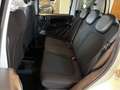 Fiat Panda firefly hybrid s&s 5 posti/ 2.000 euro di optional Blanc - thumbnail 14