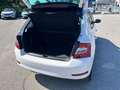 Skoda Fabia 1.0 TSI Design Edition Bianco - thumbnail 7