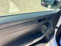 Skoda Fabia 1.0 TSI Design Edition Bianco - thumbnail 14