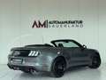 Ford Mustang GT Convertible 5.0 V8*Aut.*MagneRide*B&O Grigio - thumbnail 8
