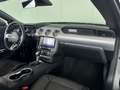 Ford Mustang GT Convertible 5.0 V8*Aut.*MagneRide*B&O Grau - thumbnail 16