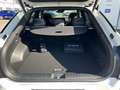 Kia EV6 GT-Line 77,4-kWh AWD +WP+360°+MERIDIAN+AHK Weiß - thumbnail 7