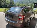 Skoda Octavia Ambition  AHK Xeno Navi PDC Kamera Braun - thumbnail 5