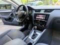 Skoda Octavia Ambition  AHK Xeno Navi PDC Kamera Braun - thumbnail 14