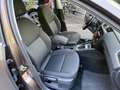 Skoda Octavia Ambition  AHK Xeno Navi PDC Kamera Braun - thumbnail 12