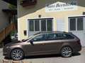 Skoda Octavia Ambition  AHK Xeno Navi PDC Kamera Braun - thumbnail 2