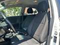 Kia Rio 1.2 MPi Evolution Bianco - thumbnail 10