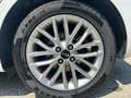 Kia Rio 1.2 MPi Evolution Bianco - thumbnail 7