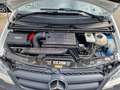 Mercedes-Benz Vito Kasten 110 CDI kompakt*2 Halter* Bílá - thumbnail 14