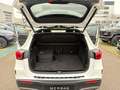 Mercedes-Benz EQA 250 360 ACC AUT Kam. KeyLess KlimaA LED LM Weiß - thumbnail 19