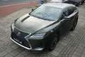 Lexus RX 450h AWD Executive Line Verde - thumbnail 23